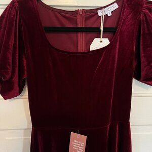 Gorgeous Size S Ivy City Co Cleo Velvet Dress in Wine